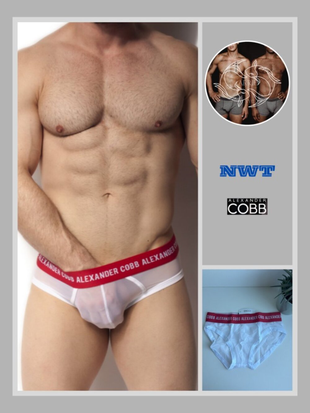 Alexander Cobb - Transparent Slip Brief - White (S)